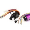 Yokomo BL-RS4 Drift Spec Sensored Brushless ESC/Zero S Drift Spec Motor Combo (13.5T) (Purple)
